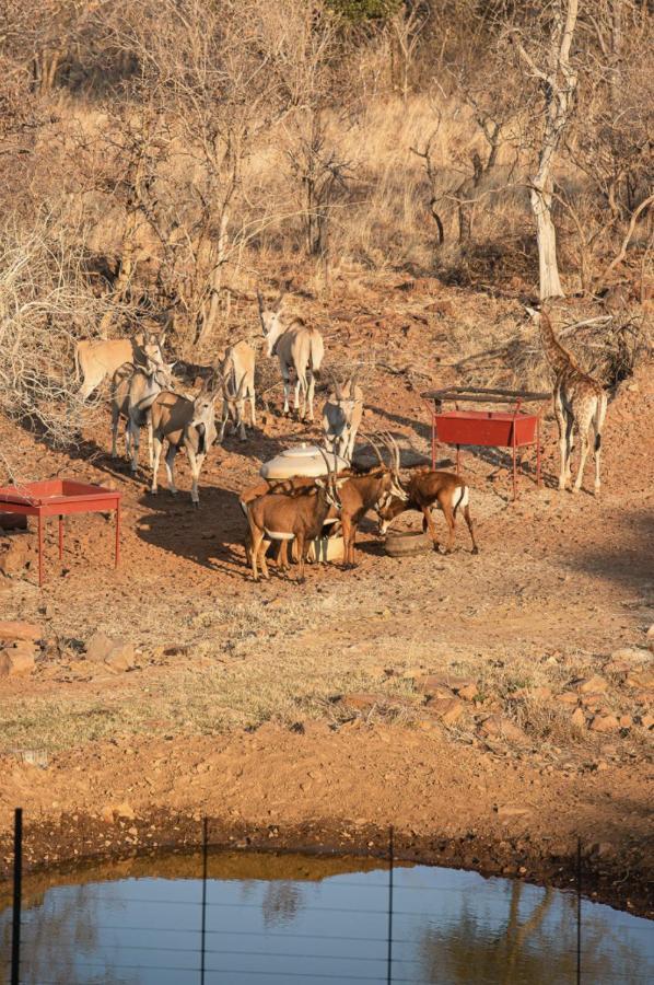 Tholo Manzi Private Game Farm Villa Zeerust Exterior foto