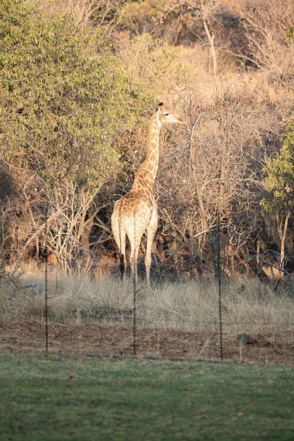 Tholo Manzi Private Game Farm Villa Zeerust Exterior foto