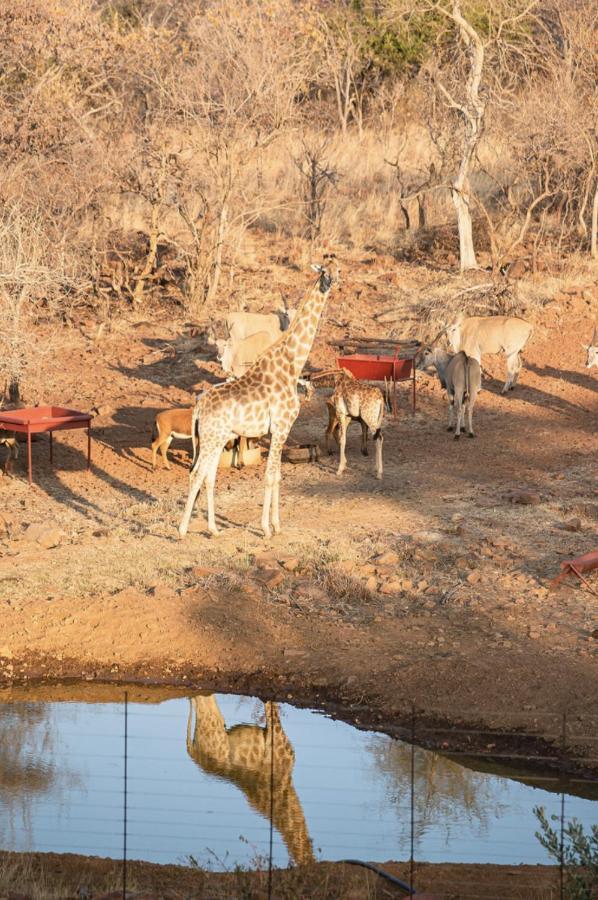 Tholo Manzi Private Game Farm Villa Zeerust Exterior foto