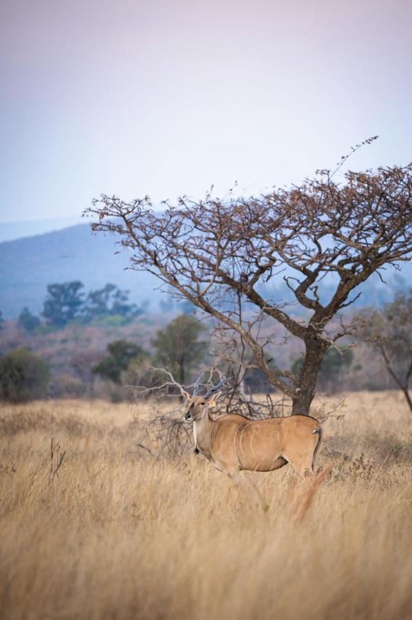 Tholo Manzi Private Game Farm Villa Zeerust Exterior foto